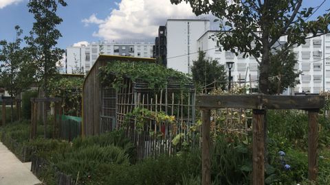 Cette enquête s’intéresse à l’intégration du végétal en ville, quelle que soit la taille des espaces verts des collectivités concernées. ©Pascal Fayolle 